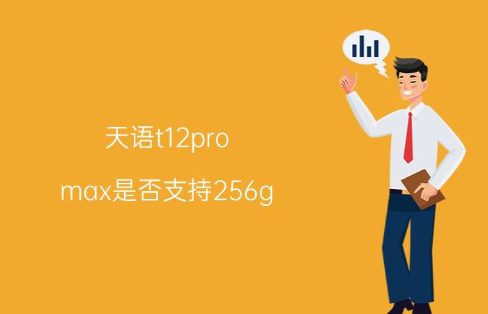 天语t12pro max是否支持256g 天语是杂牌手机吗？